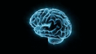 BlueBrainGIF.gif