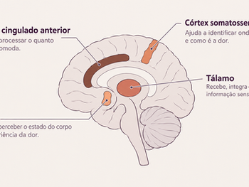 O envolvimento do sistema nervoso na dor