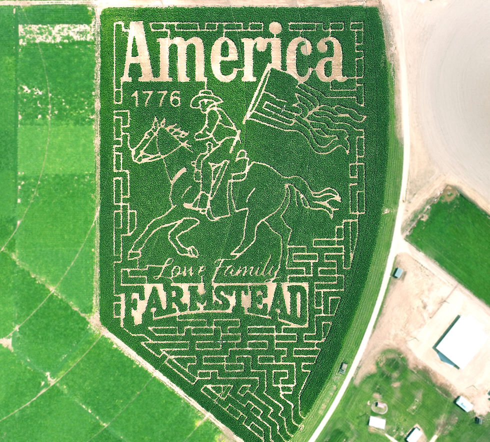 Corn Maze Design