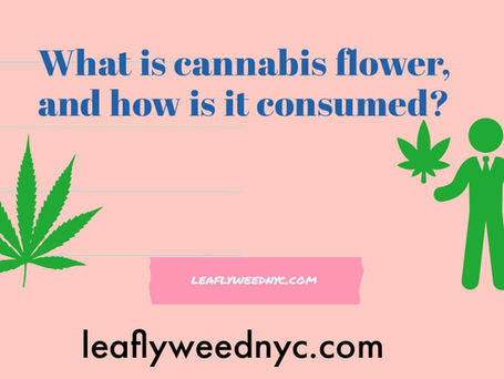 What is cannabis flower, and how is it consumed?