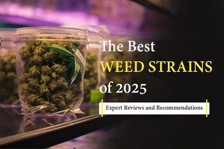 Best Weed Strains of 2025: Expert Reviews and Recommendations