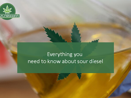 EVERYTHING YOU NEED TO KNOW ABOUT SOUR DIESEL