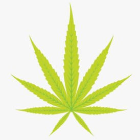 sativa-themes-300x300.jpg