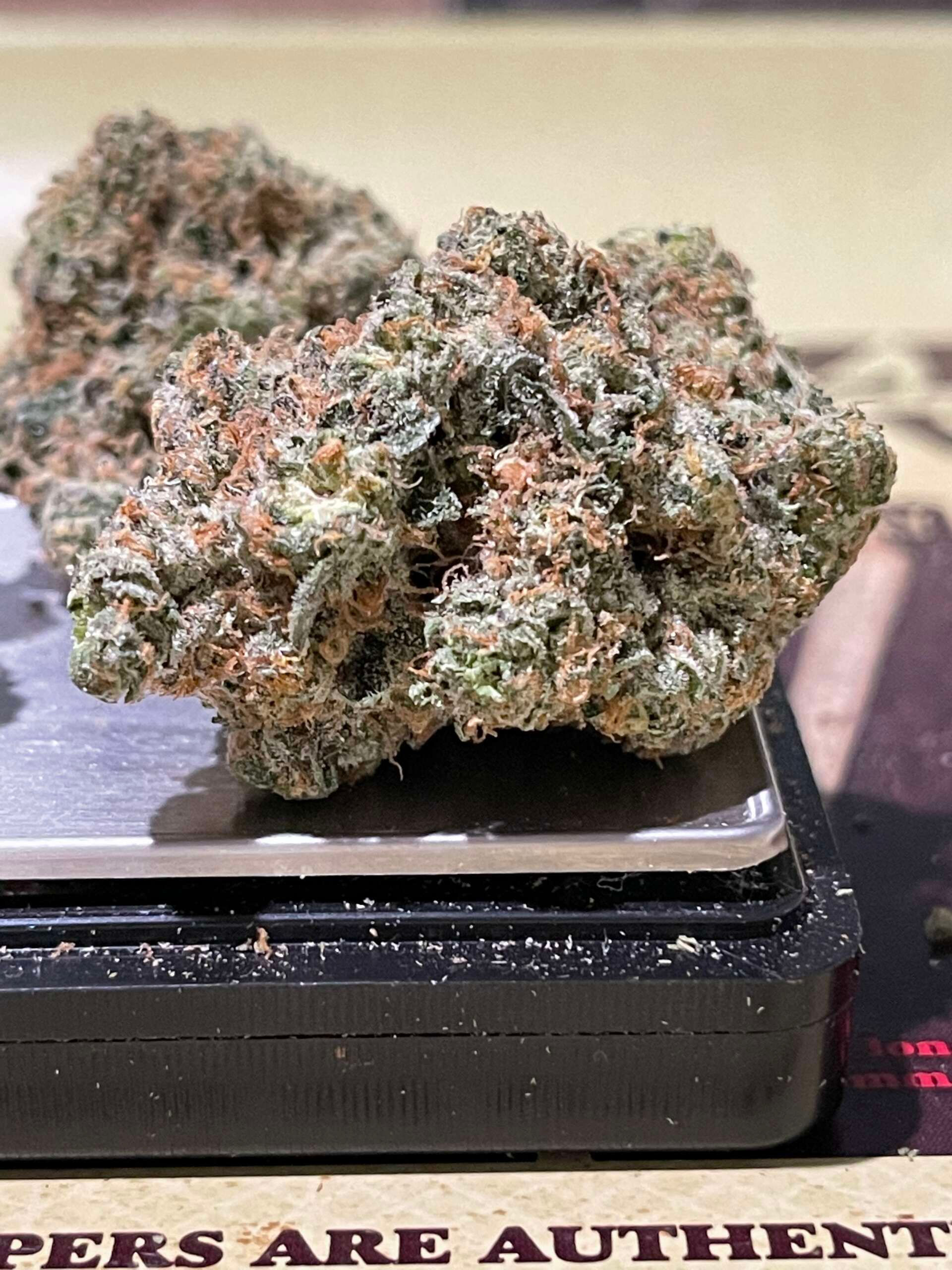 Gary Payton 3.5 grams