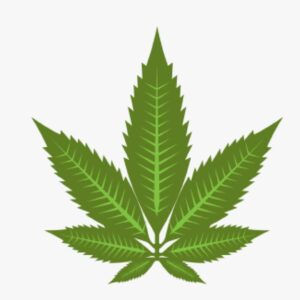 Indica-themes-300x300.jpg