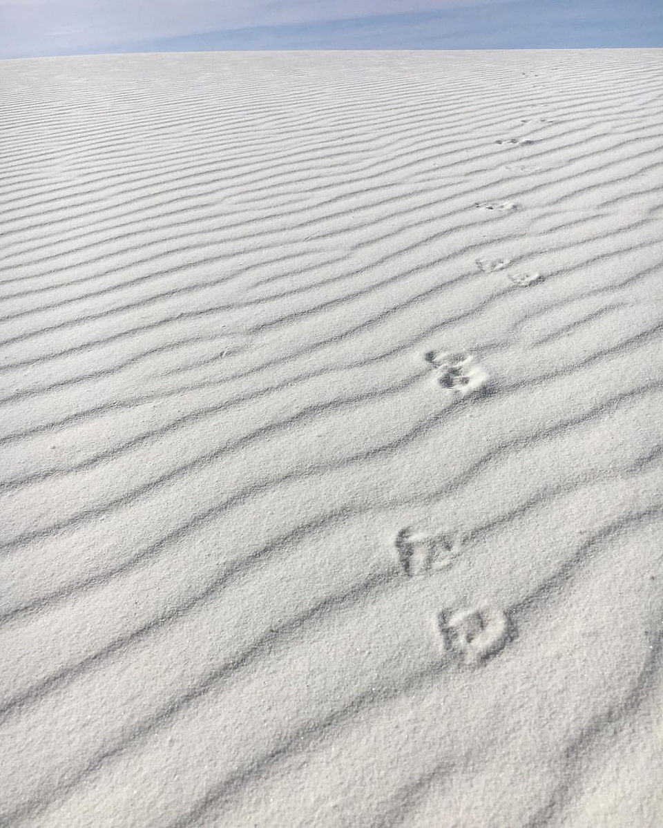 White Sands, NM