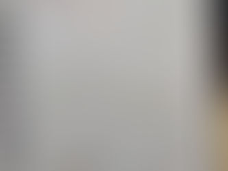 Week 6/7 Anatomy Work