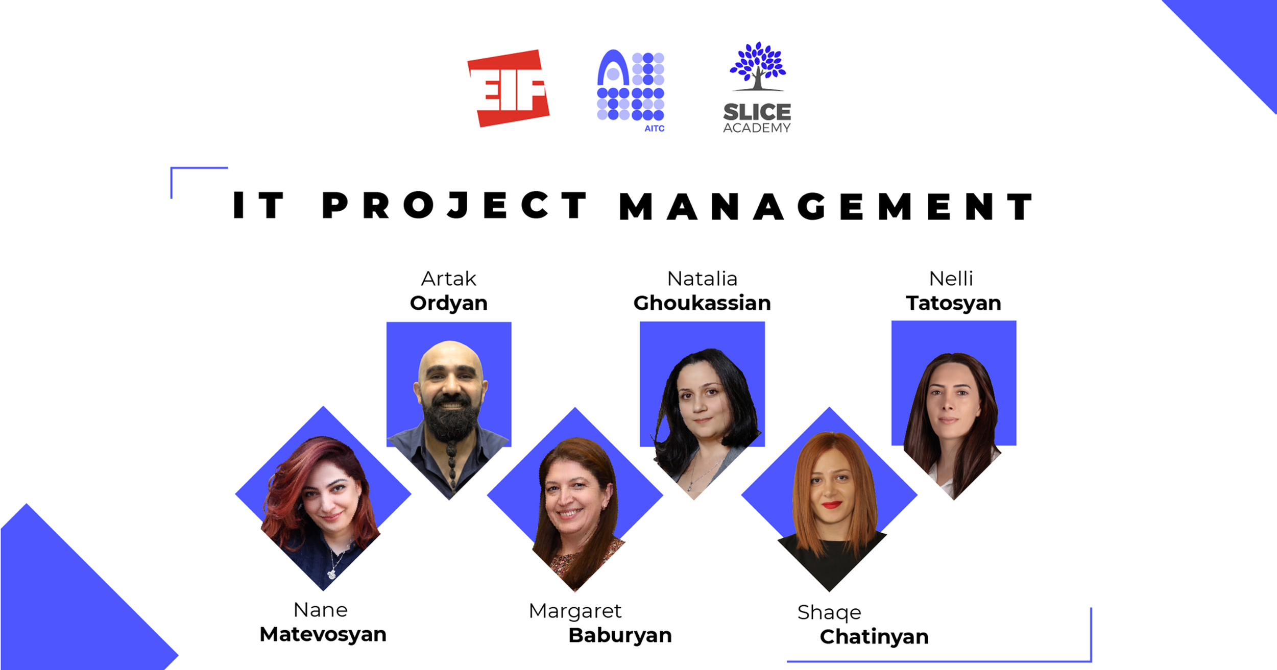 IT Project Management