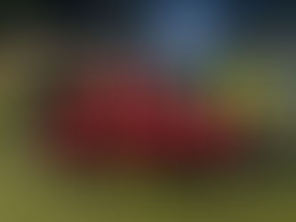 (Open B) Testa alla prossima