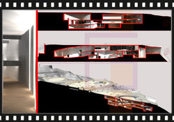 Sezioni prospettiche