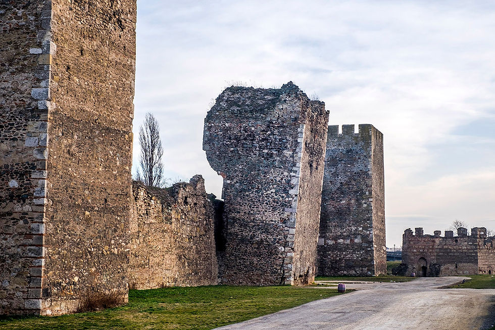 Smederevo, le torri della fortezza © Gianluca Baronchelli