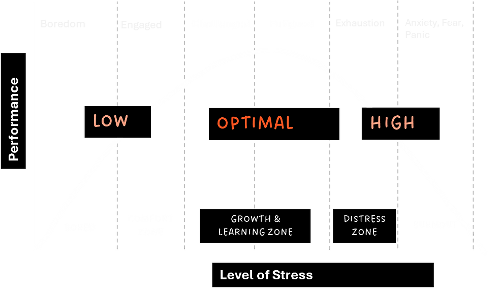 Adapted from Yerkes & Dodson (1908), Journal of Comparative Neurology and Psychology