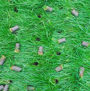 Screenshot 2025-03-02 151833.png