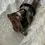 Thumbnail: 2008 Nissan 350z Driveshaft Black OEM