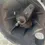 Thumbnail: 2004-08 Mazda Rx8 Transmission 6 speed Manual