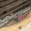 Thumbnail: 2005 Acura RSX Front Grille Cover