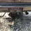 Thumbnail: 1994 Acura Integra Rear Bumper Cover BLACK