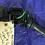 Thumbnail: 22-24 Subaru WRX Windshield Wiper Turn Signal Combination Switch OEM (2023) Dash