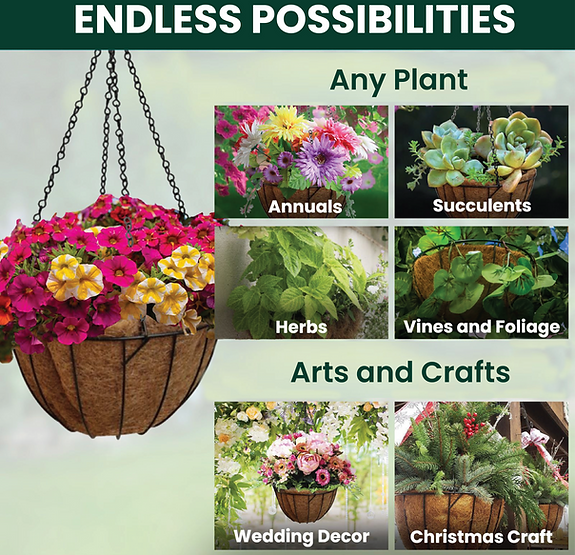 endless possibilities for hanging baskets 