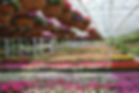 homepage slide_edited_edited.jpg