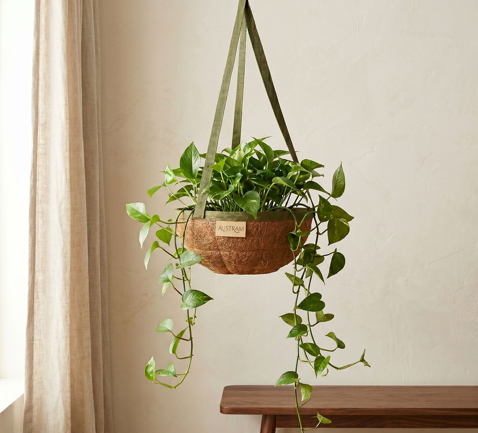 Woven Coco hanging basket