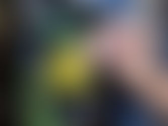 Added Value with Ellard: More than Just a Product