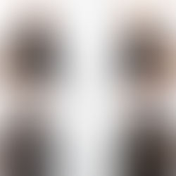 Strengthening Leadership: Inside Ellard’s New Senior Management Team 