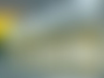 Revolutionising Industrial Door Automation: Ellard’s Digital DDOs and our innovative Promax + panel