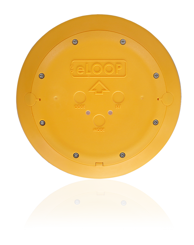 The Commercial e-LOOP