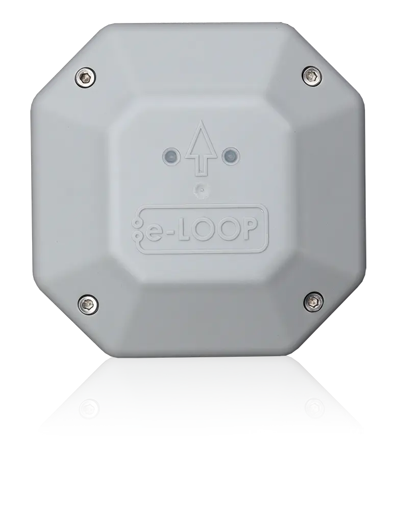 The domestic e-LOOP