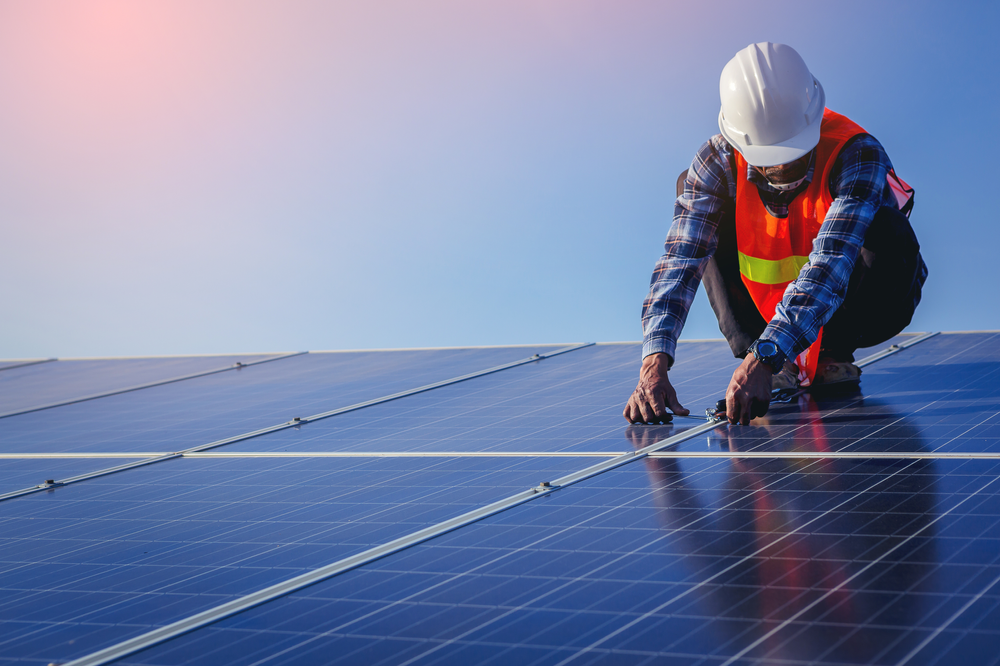 From Data to Action: Ellard's Carbon Footprint Reduction and Sustainable Product Spotlight 