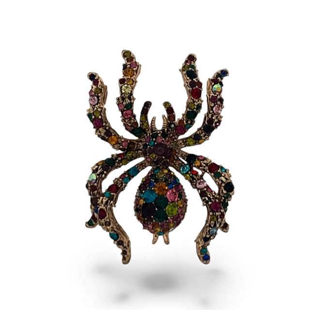 colourful spider brooch