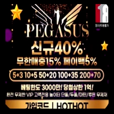 갈매기토토