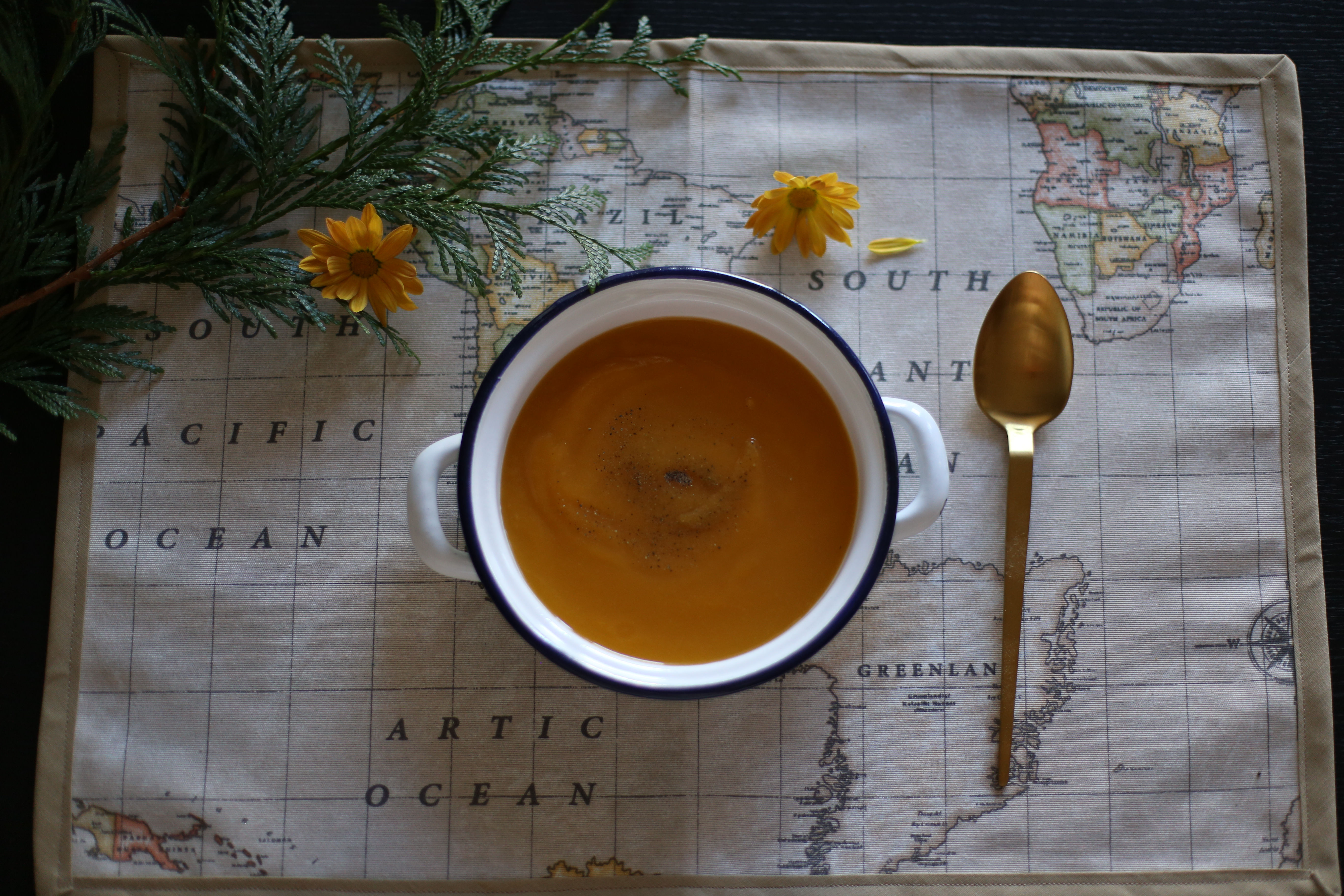 Individuales antimanchas mapamundi