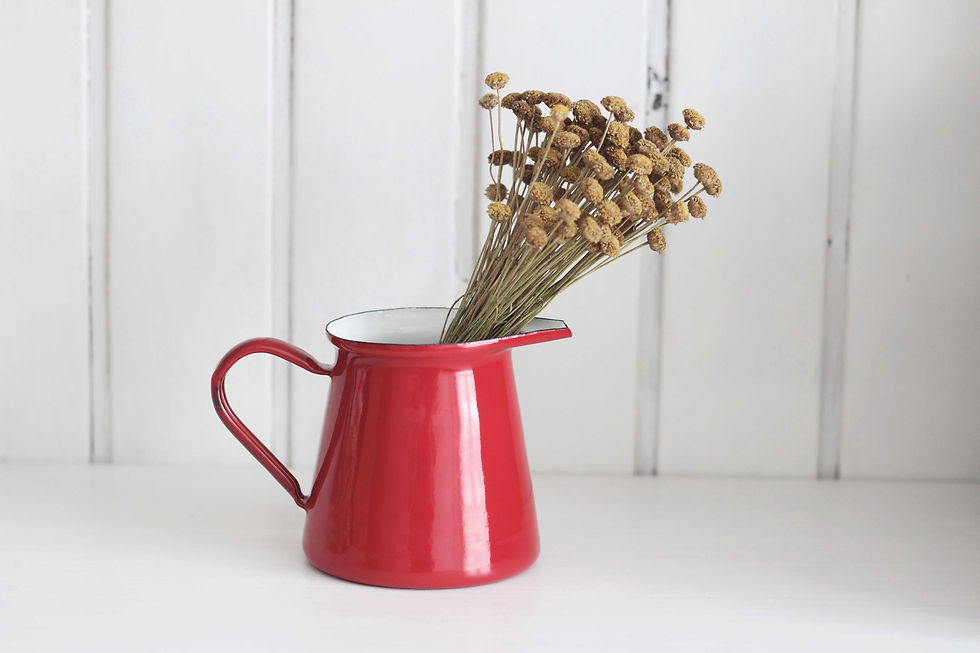 Thumbnail: Lechera roja de metal esmaltado