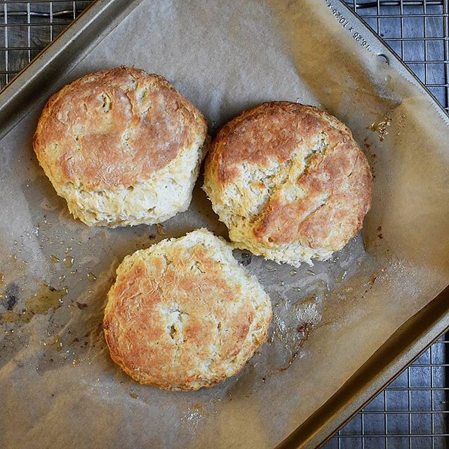 Buttery Biscuits