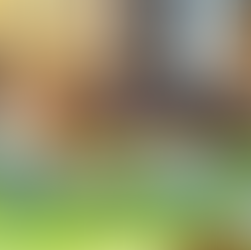 Serious Game : Maladies invalidantes & Emploi