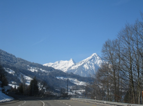 大学生の自己紹介【ももりんご】