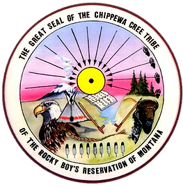 cct-transp.png