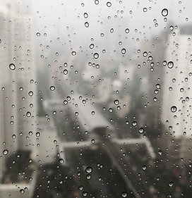 Droplets on the Window