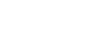 Savvy Co Real Estate_Logo White.png