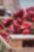 the-ivy-place-pickyourown-berries.jpg
