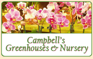 Campbell’s Greenhouse and Nursery