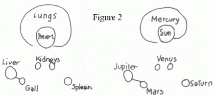 ocphyf2.gif