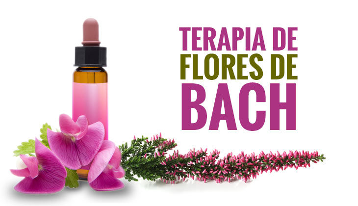 Terapias con flores de Bach