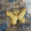 Thumbnail: Sleutelhanger Vlinder 1 (goud)