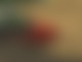 Quivogne Maxiculteur 7