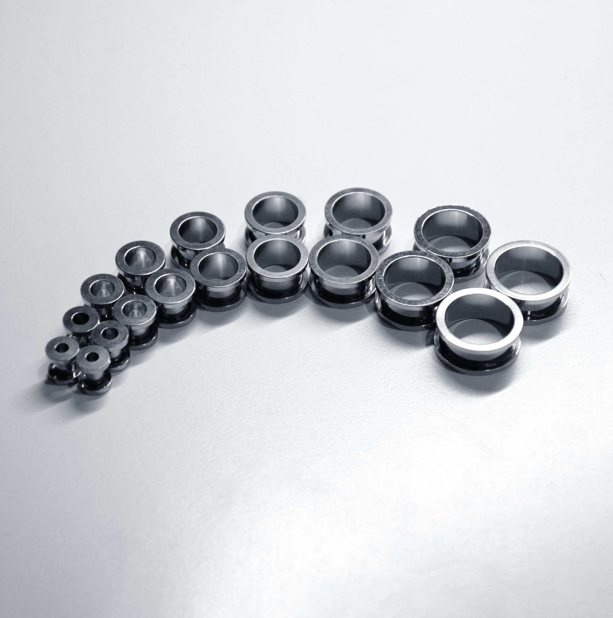 Stainless Steel Ear Tunnels