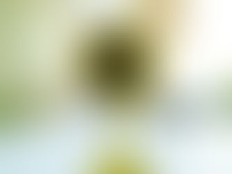 I'll Take Your Recognition Now