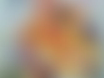 Vídeo mostra revista de 2003 que falava dos perigos do Coronavírus